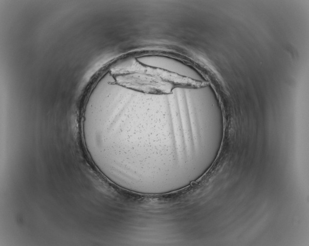 X0000114441360200911061655