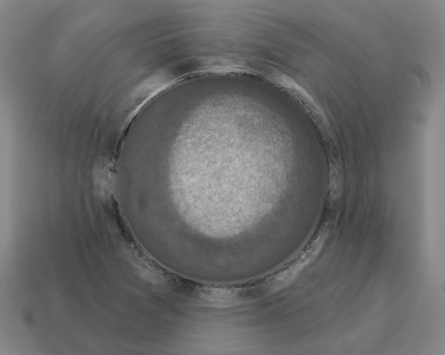 X0000114441361200911061655