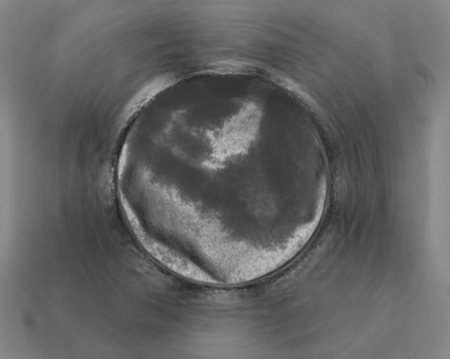 X0000114441362200911061655