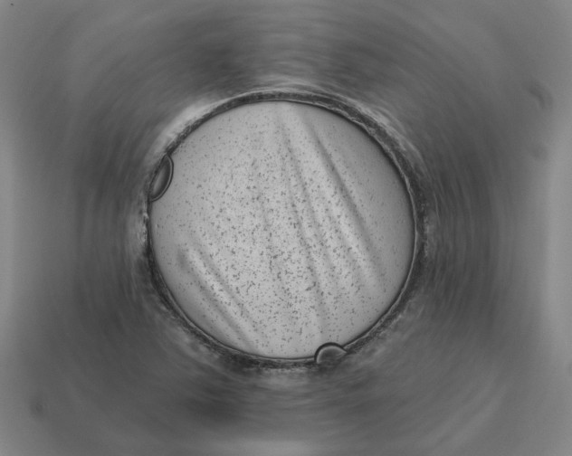 X0000114441363200911061655