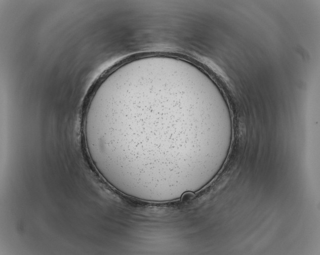 X0000114441364200911061655