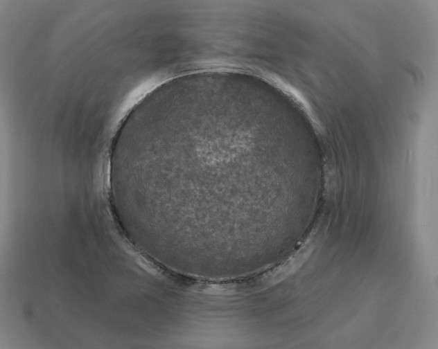 X0000114441365200911061655