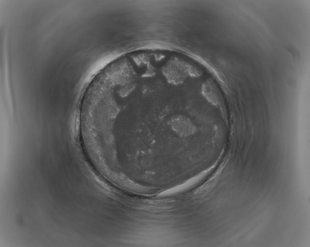 X0000114441367200911061655