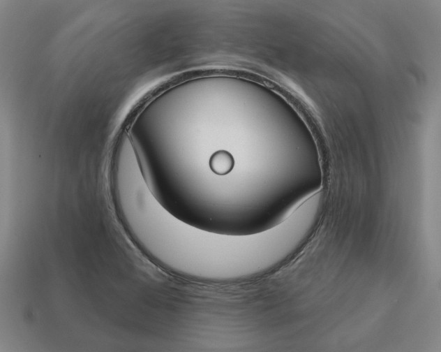 X0000114441368200911061655