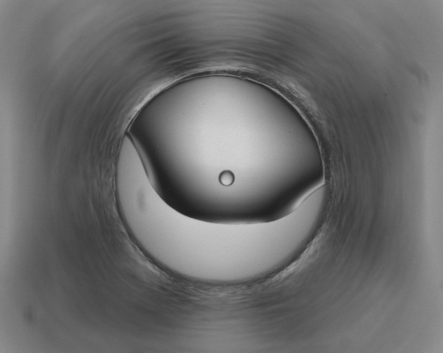 X0000114441369200911061655