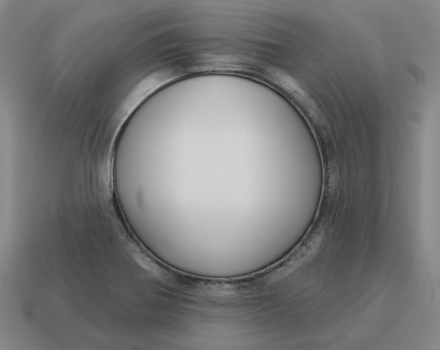 X0000114441370200911061655