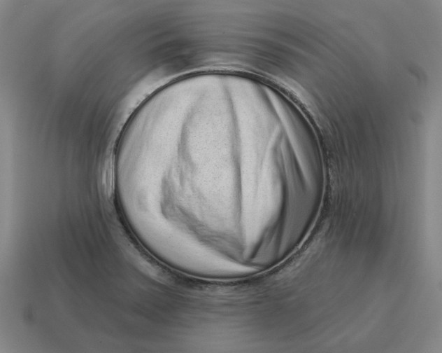 X0000114441371200911061655