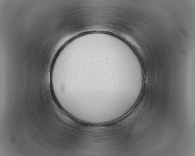 X0000114441372200911061655