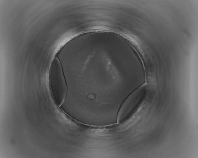 X0000114441373200911061655