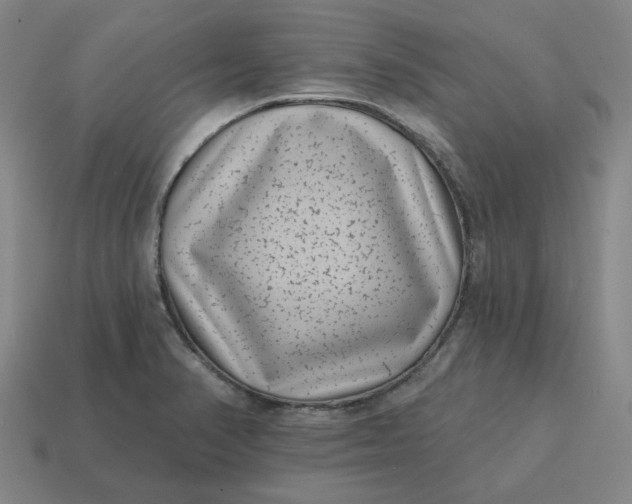 X0000114441374200911061655