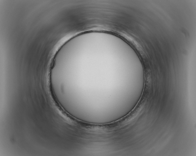 X0000114441375200911061654