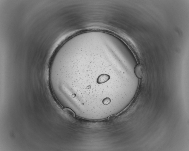 X0000114441376200911061654