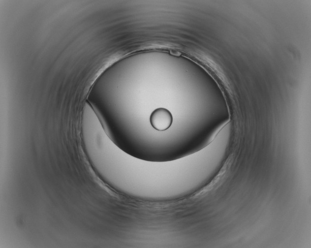 X0000114441377200911061654