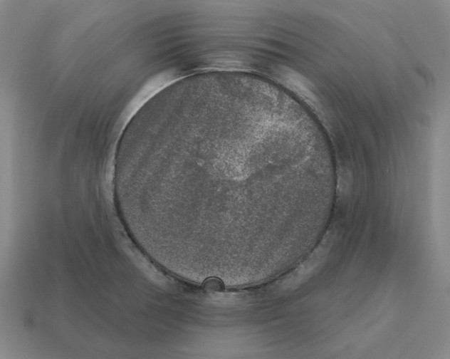 X0000114441378200911061654