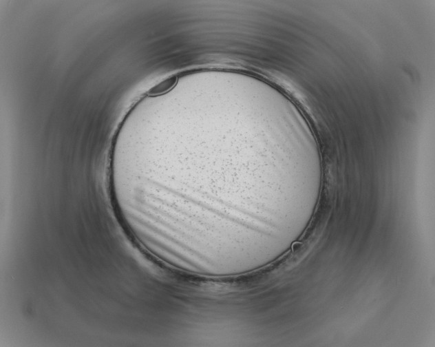 X0000114441379200911061654