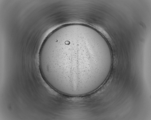 X0000114441380200911061654