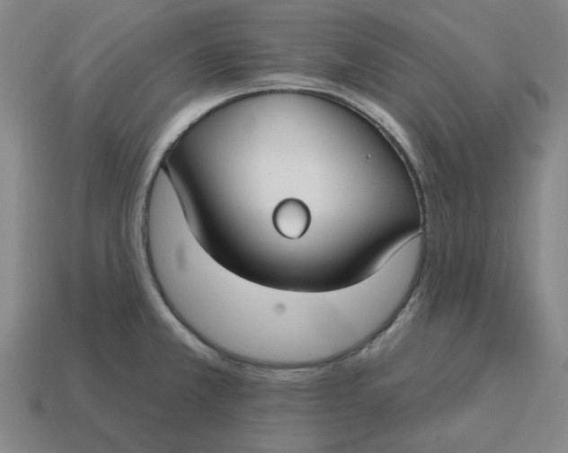 X0000114441381200911061654