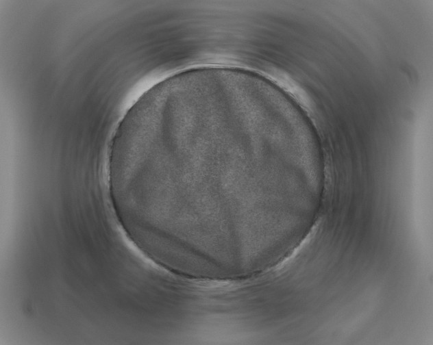 X0000114441382200911061654