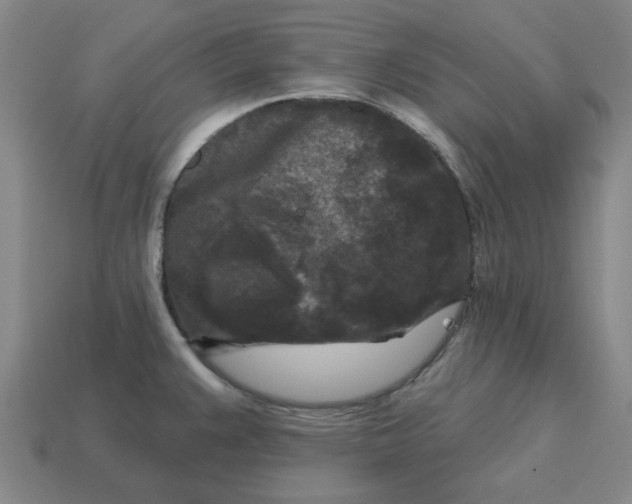 X0000114441383200911061654