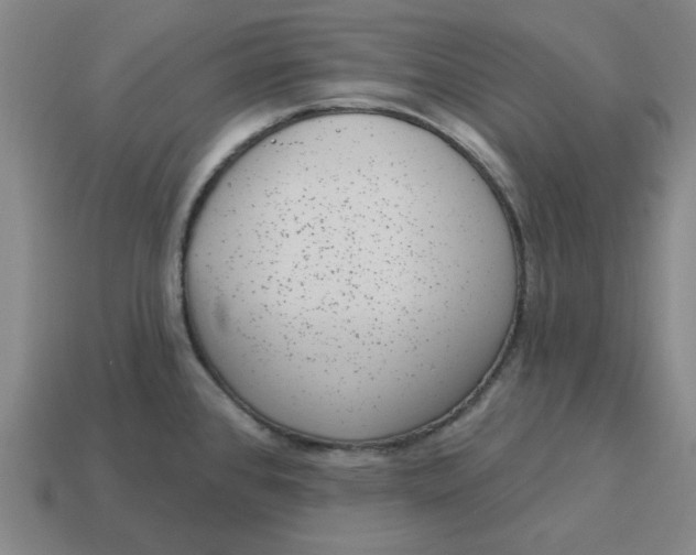 X0000114441384200911061654