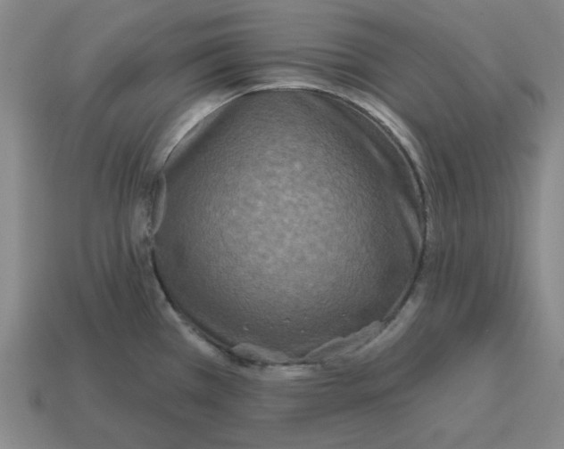 X0000114441385200911061654