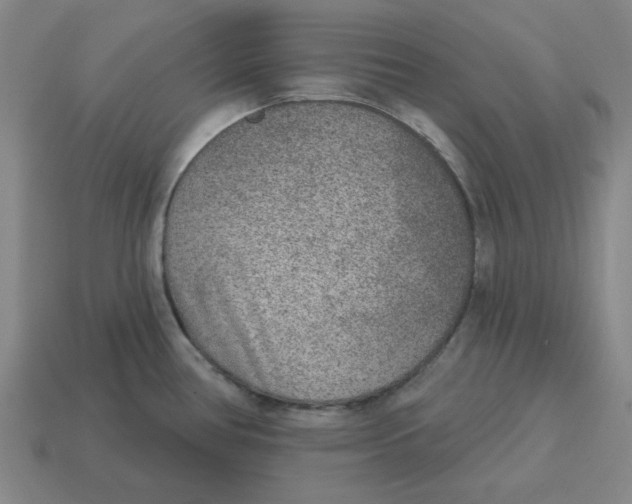 X0000114441386200911061654