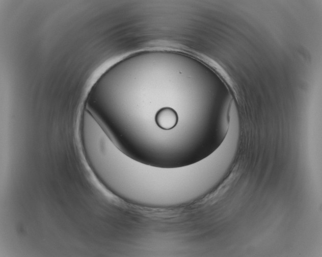 X0000114441387200911061654