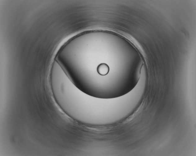 X0000114441388200911061654