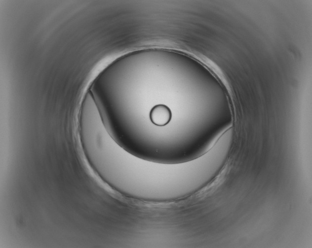 X0000114441389200911061654