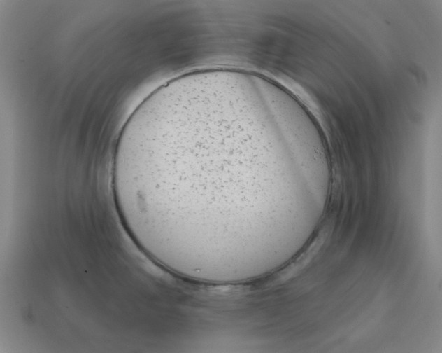 X0000114441390200911061654