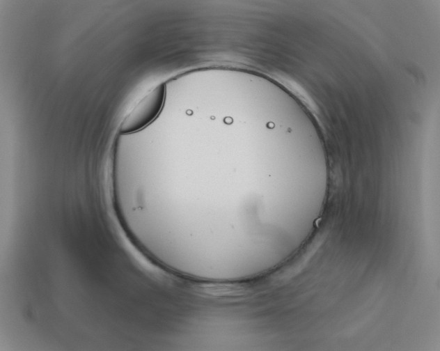 X0000114441391200911061654