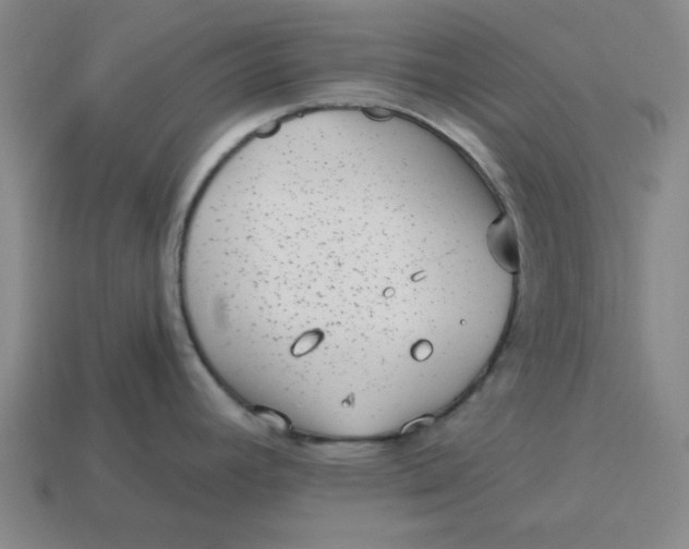 X0000114441392200911061654