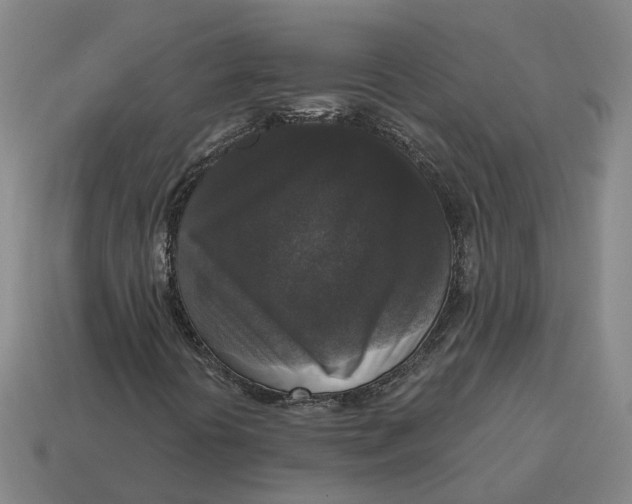 X0000114441394200911061654