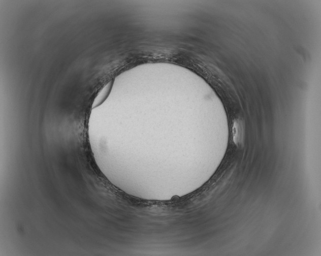 X0000114441395200911061654