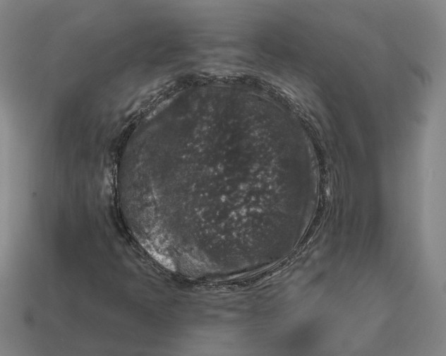 X0000114441397200911061654