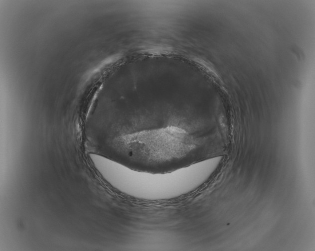 X0000114441398200911061654