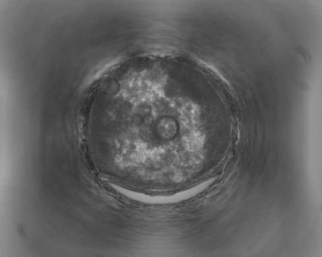 X0000114441399200911061654