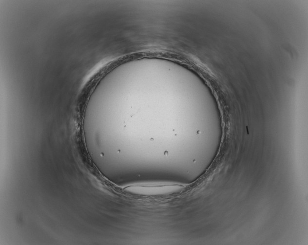 X0000114441400200911061654