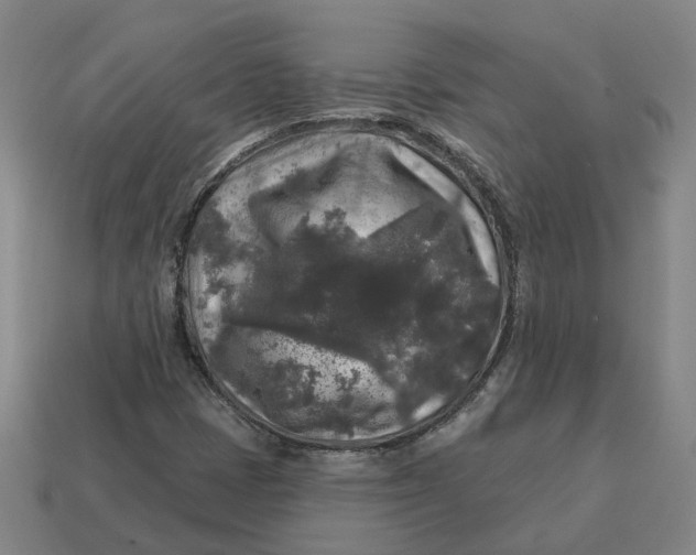 X0000114441401200911061654