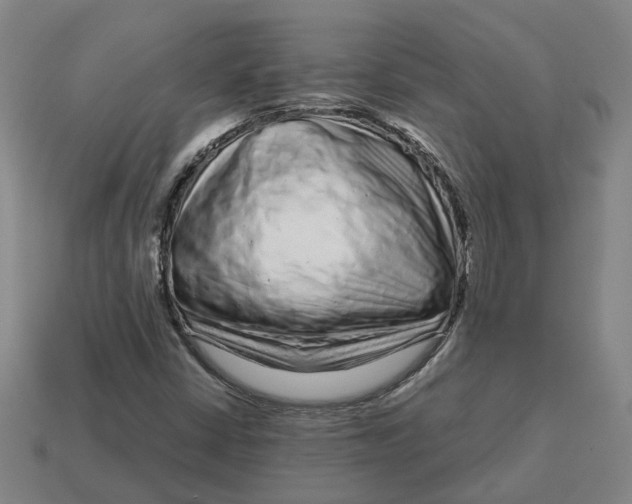 X0000114441402200911061654