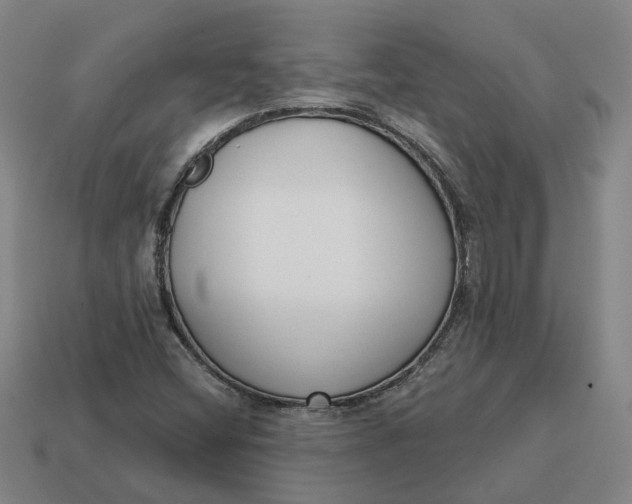 X0000114441404200911061654