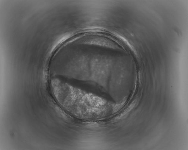 X0000114441405200911061654