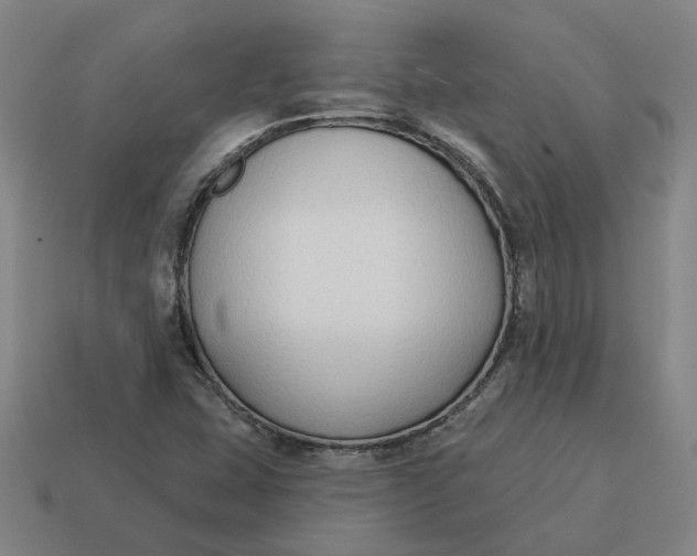 X0000114441407200911061654