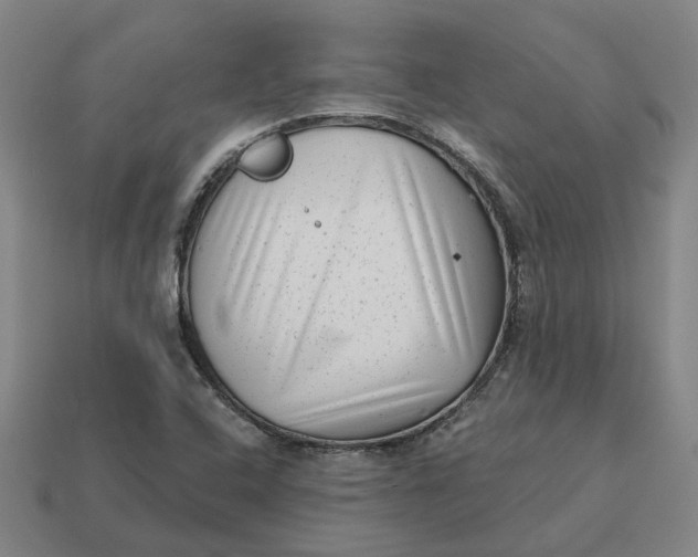 X0000114441408200911061654