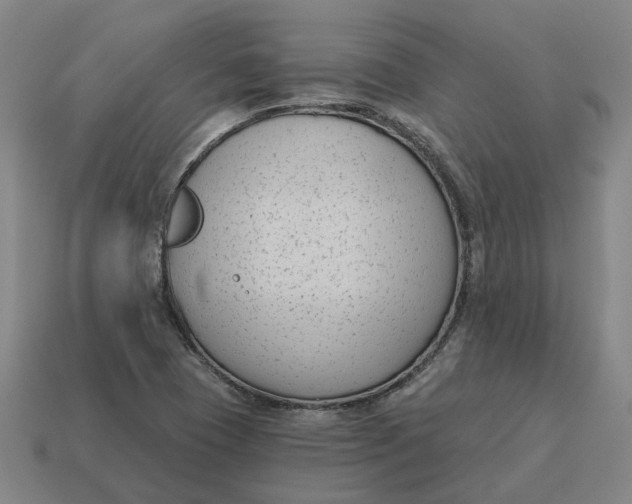 X0000114441409200911061654