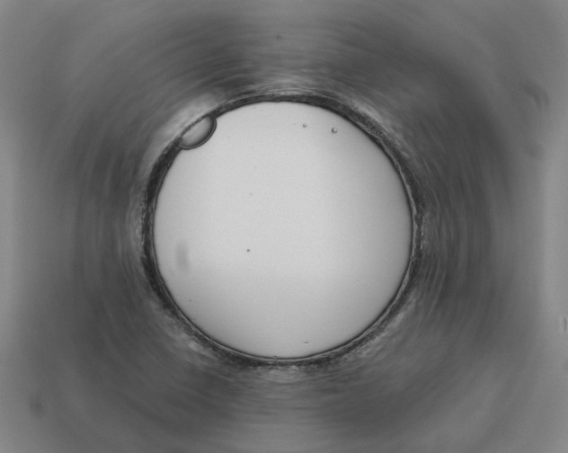 X0000114441410200911061654