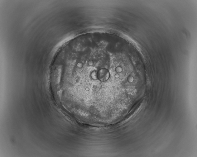 X0000114441411200911061654