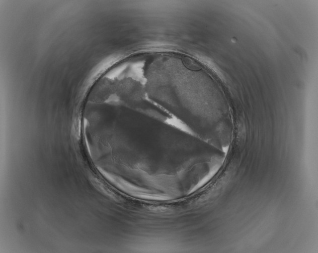 X0000114441413200911061654