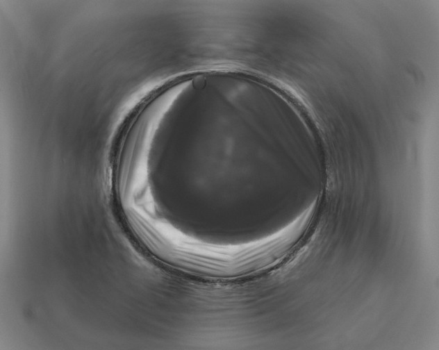 X0000114441414200911061654