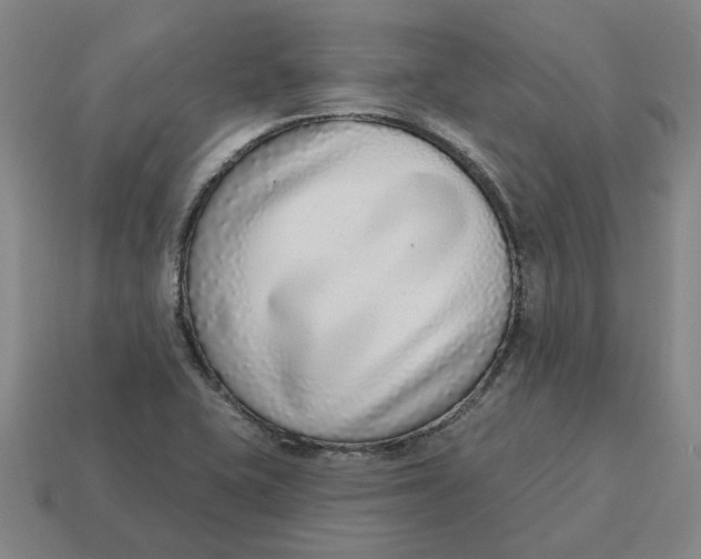 X0000114441415200911061654